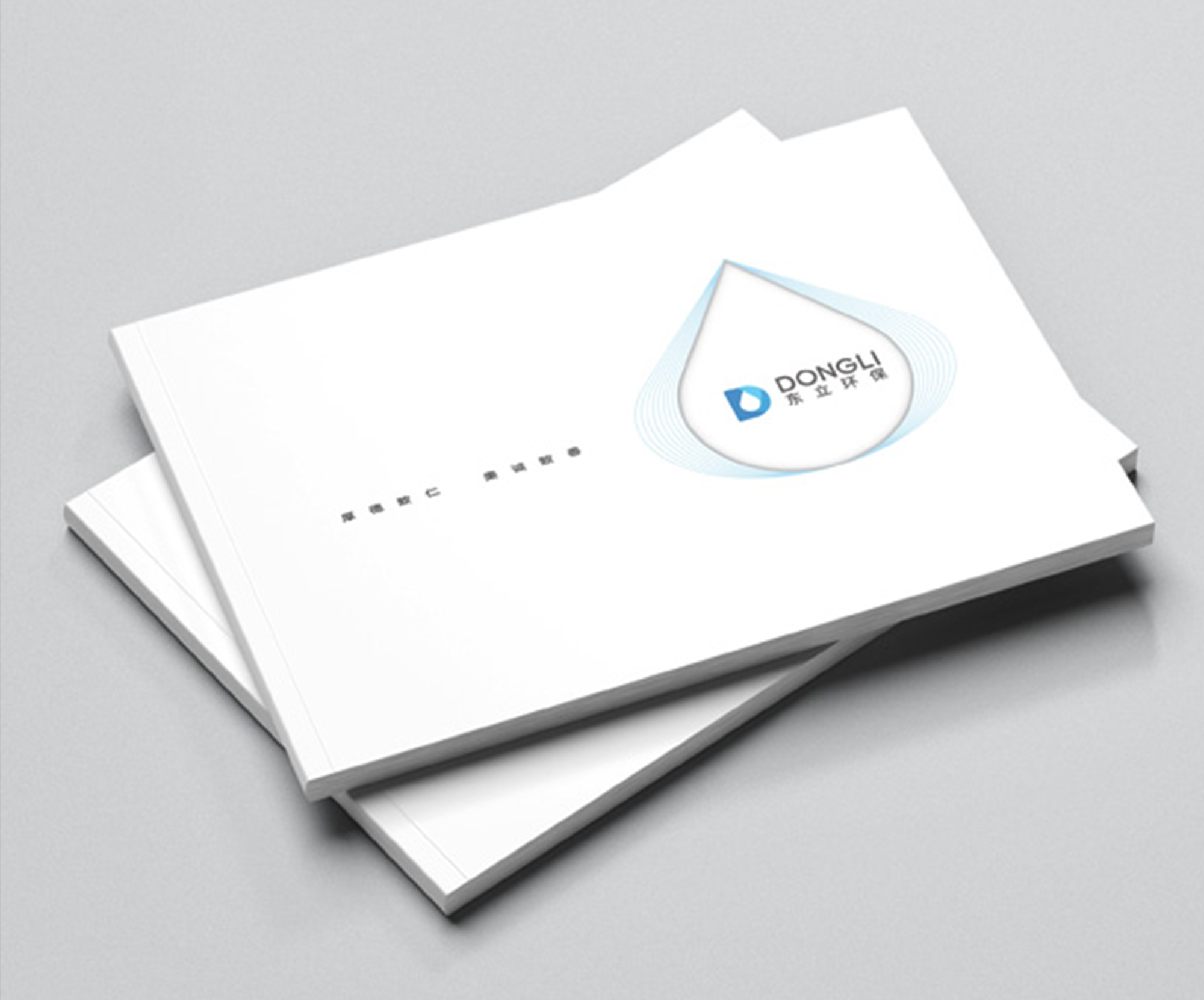 東立環(huán)保畫冊設(shè)計(jì)案例